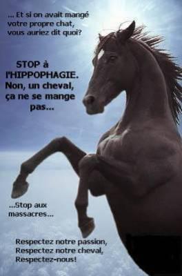 bOn bn
